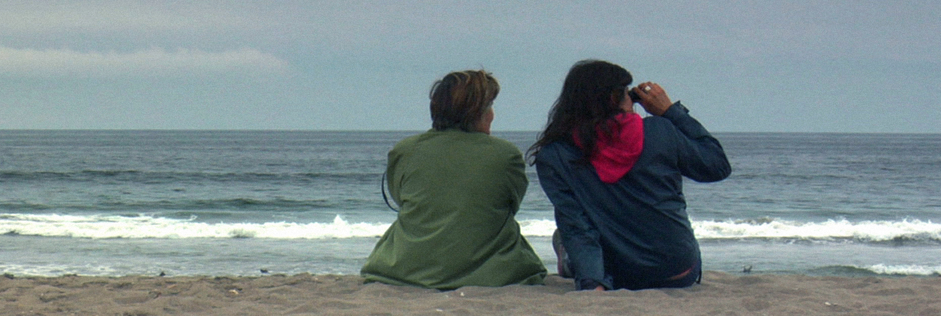 The poetry of daily life invites us on a journey for this week’s “Thursdays of Chilean Cinema”